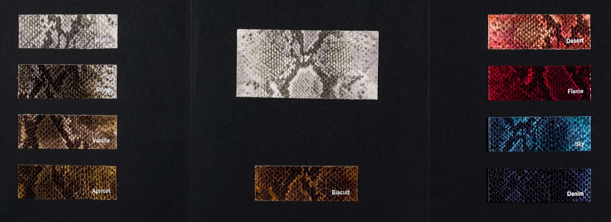 Sandrelli carta colori Ta.go srl